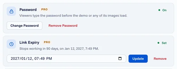 The Password and Link Expiry settings for a published demo, with a password on and an expiry date set.